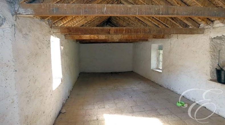 Málaga - Periana - 868m2