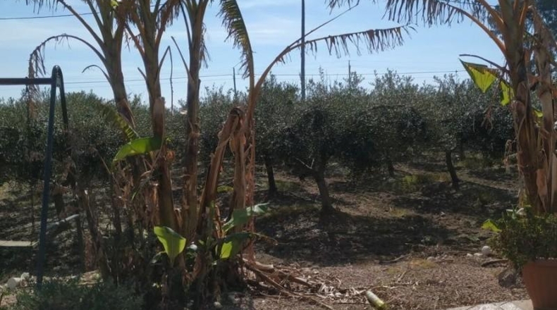 Tarragona - La Ràpita - 10000m2
