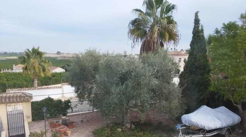 Alicante - Almoradí - 1139m2