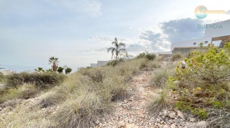 Múrcia - Cartagena - 1224m2
