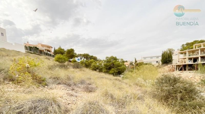 Múrcia - Cartagena - 1224m2