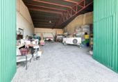 Xalet independent amb terreny en venda a la España, Elx, ref.: TR244782 foto