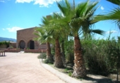 Casa de camp amb terreny en venda a la España, la Ràpita, ref.: TR141723 foto