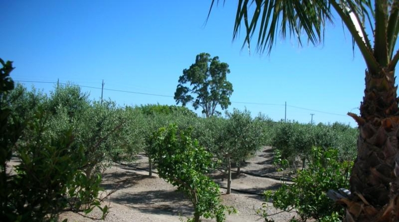 Tarragona - La Ràpita - 4201m2