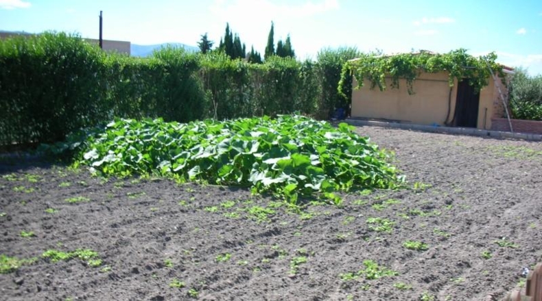 Tarragona - La Ràpita - 4201m2