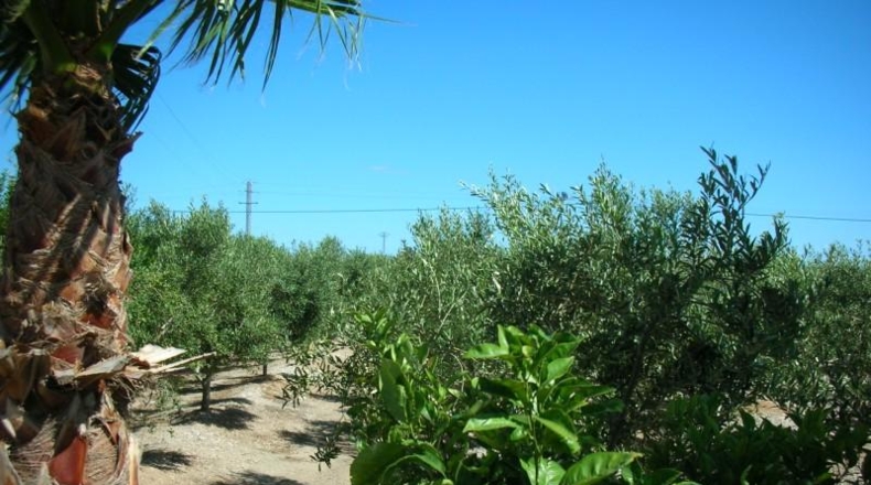 Tarragona - La Ràpita - 4201m2