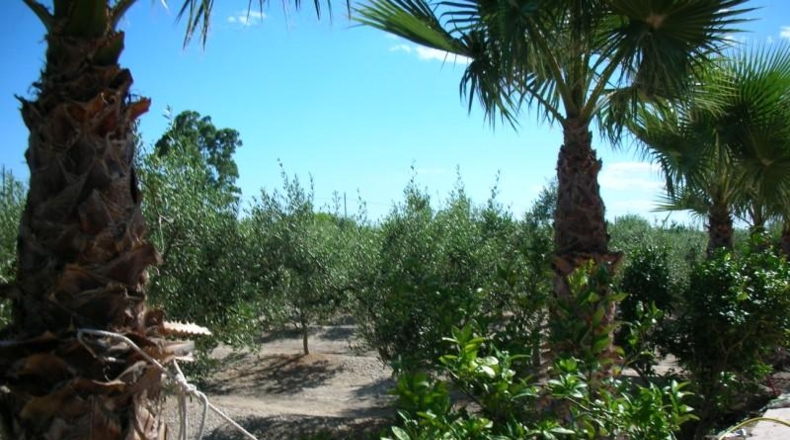 Tarragona - La Ràpita - 4201m2