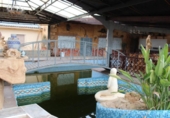 Chalet independiente con terreno en venta en la España, Crevillente, ref: TR142951 foto