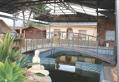 Chalet independiente con terreno en venta en la España, Crevillente, ref: TR142951 foto