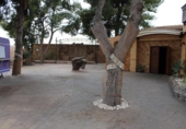 Chalet independiente con terreno en venta en la España, Crevillente, ref: TR142951 foto