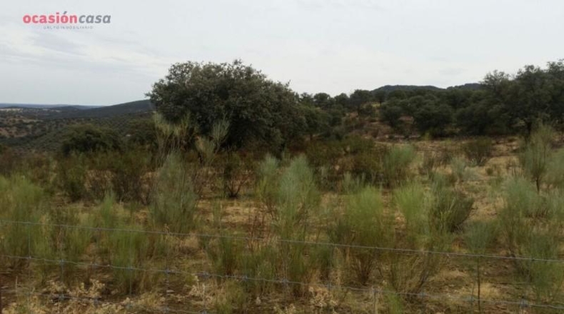 Córdoba - Santa Eufemia - 844000m2