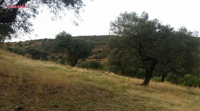 Córdoba - Santa Eufemia - 844000m2
