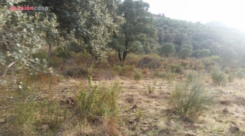 Córdoba - Santa Eufemia - 844000m2