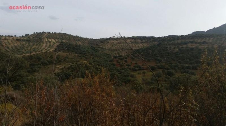 Córdoba - Santa Eufemia - 844000m2