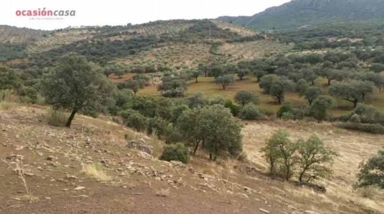 Córdoba - Santa Eufemia - 844000m2