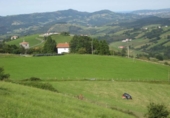 Non-developable land for sale on España, Aya, ref: TR115991 photo