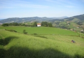 Non-developable land for sale on España, Aya, ref: TR115991 photo