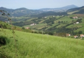 Non-developable land for sale on España, Aya, ref: TR115991 photo