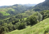 Non-developable land for sale on España, Aya, ref: TR115991 photo
