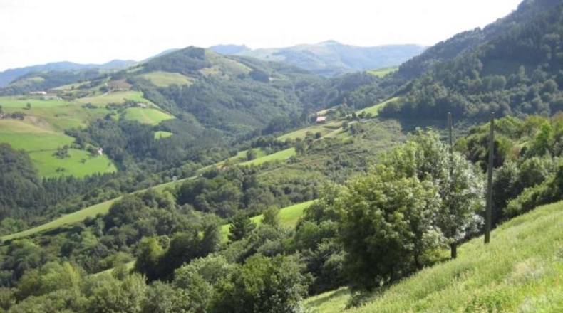 Gipuzkoa - Aya - 36953m2