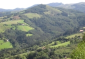 Non-developable land for sale on España, Aya, ref: TR115991 photo