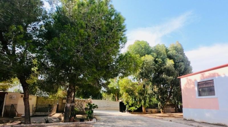 Alicante - Los Montesinos - 12000m2