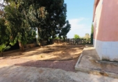 Casa de camp amb terreny en venda a la España, Los Montesinos, ref.: TR149375 foto