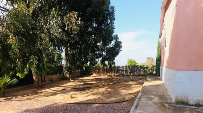 Alicante - Los Montesinos - 12000m2