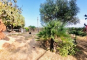 Casa de camp amb terreny en venda a la España, Los Montesinos, ref.: TR149375 foto