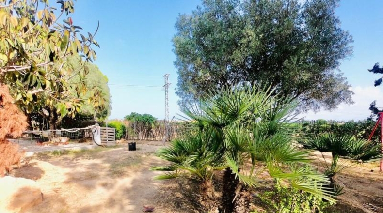 Alicante - Los Montesinos - 12000m2