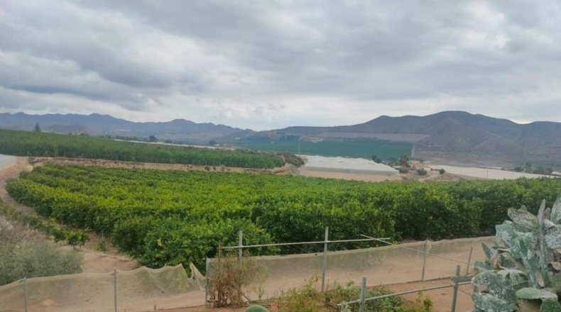 Murcia - Águilas - 300m2