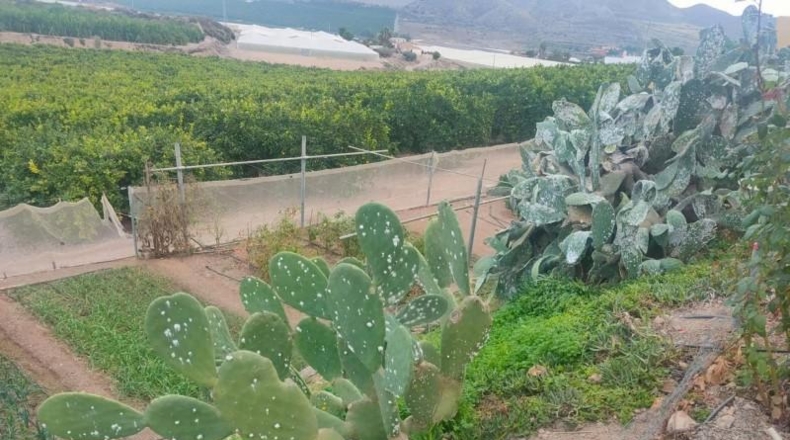 Murcia - Águilas - 300m2