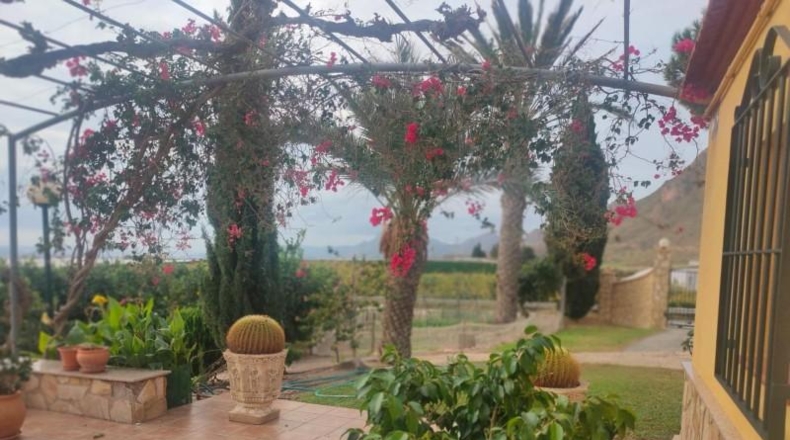 Murcia - Águilas - 300m2