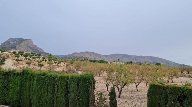 Alicante - Petrer - 290m2