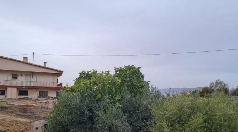 Alicante - Petrer - 290m2