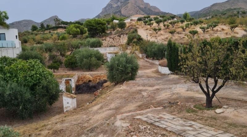 Alicante - Petrer - 290m2