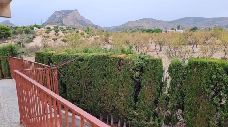 Alicante - Petrer - 290m2