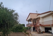 Xalet independent amb terreny en venda a la España, Petrer, ref.: TR146950 foto