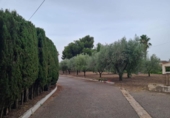 Xalet independent amb terreny en venda a la España, Petrer, ref.: TR146950 foto