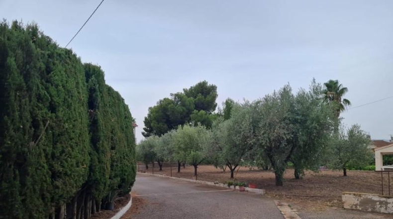 Alicante - Petrer - 290m2