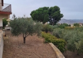 Xalet independent amb terreny en venda a la España, Petrer, ref.: TR146950 foto