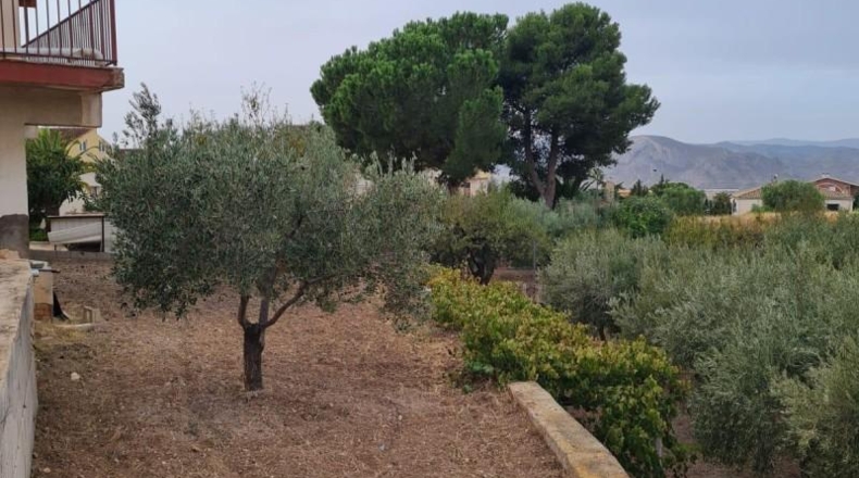 Alicante - Petrer - 290m2