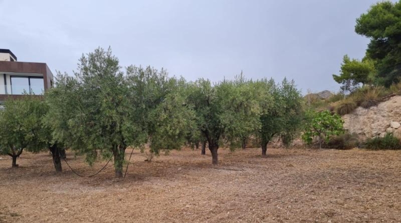 Alicante - Petrer - 290m2