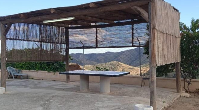 Málaga - Almogía - 120000m2