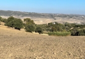 Chalet independiente con terreno en venta en la España, Vejer de la Frontera, ref: TR141252 foto