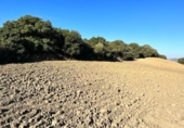Chalet independiente con terreno en venta en la España, Vejer de la Frontera, ref: TR141252 foto