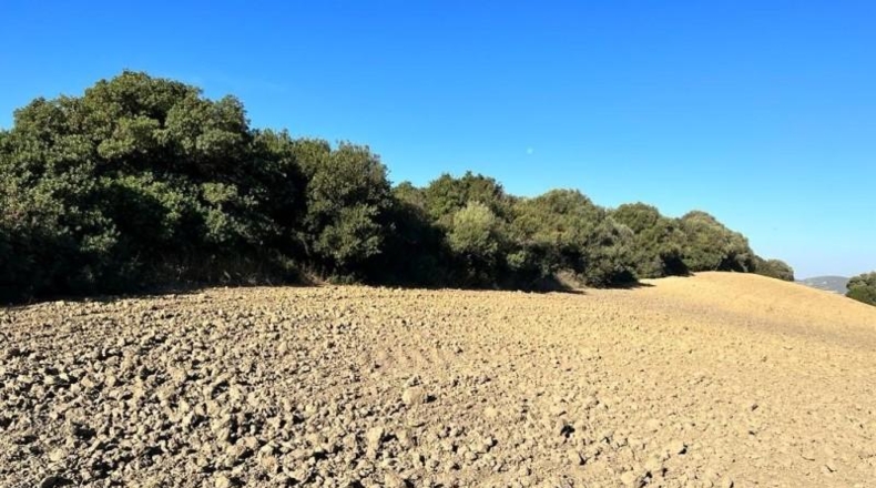 Cádiz - Vejer de la Frontera - 18000m2