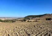 Chalet independiente con terreno en venta en la España, Vejer de la Frontera, ref: TR141252 foto