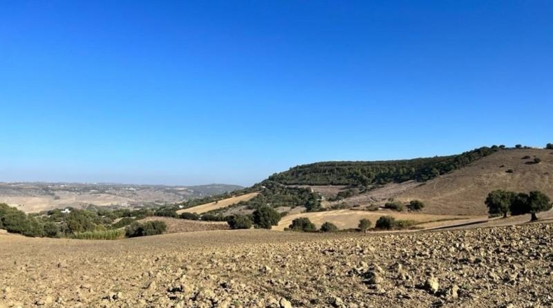 Cádiz - Vejer de la Frontera - 18000m2