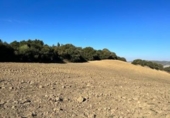 Chalet independiente con terreno en venta en la España, Vejer de la Frontera, ref: TR141252 foto